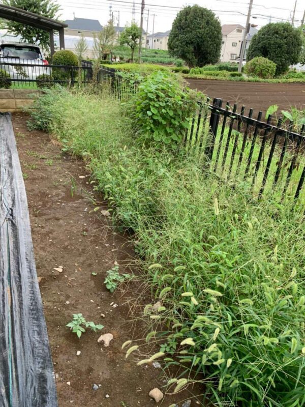 愛媛県伊予市・S様邸　玄関アプローチをコンクリートで仕上げ、庭は芝生にリフォーム