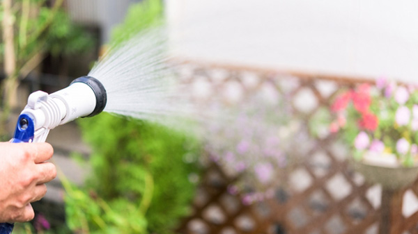 庭の植栽の水やり